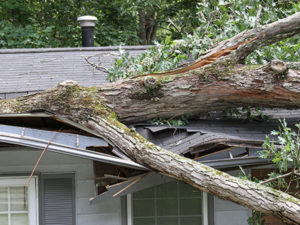 wind damage requiring a public adjuster